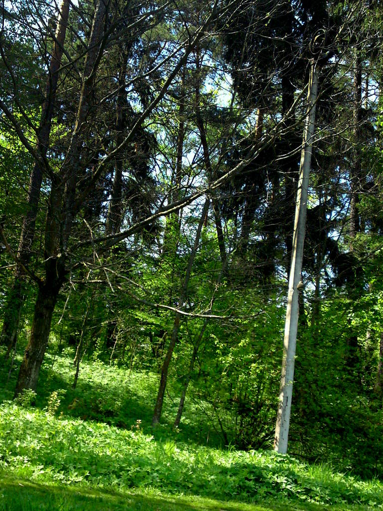 Matymas